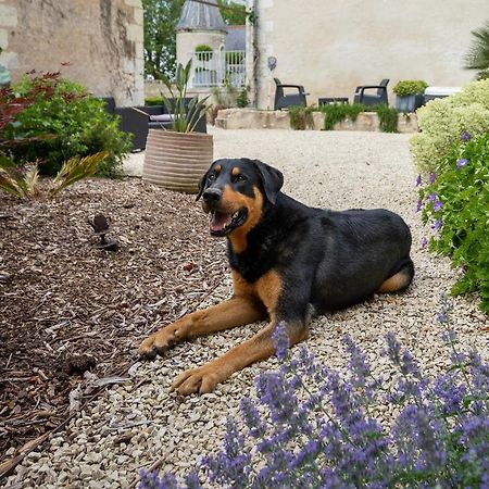 Manoir De La Mazeraie, Ideal Pour Le Teletravail Joué-lés-Tours Exteriér fotografie