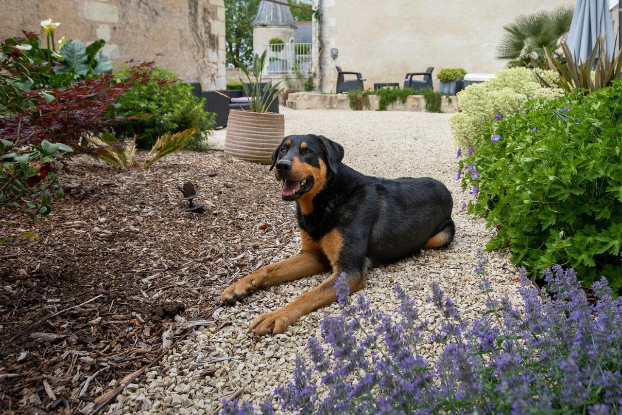 Manoir De La Mazeraie, Ideal Pour Le Teletravail Joué-lés-Tours Exteriér fotografie